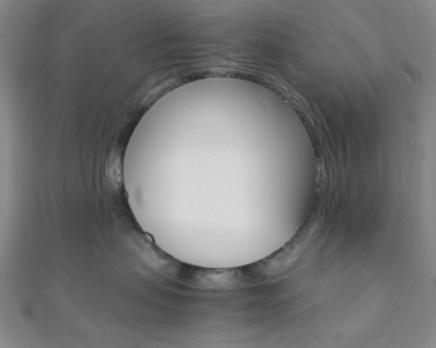 X0000112110479200908041155