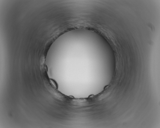 X0000112110480200908041155