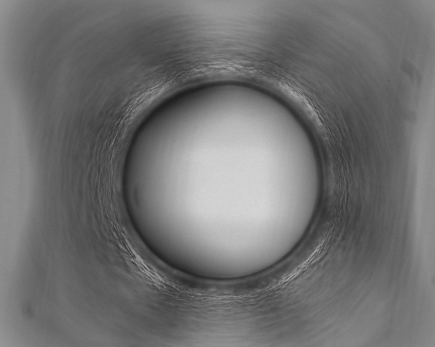 X0000112110481200908041154