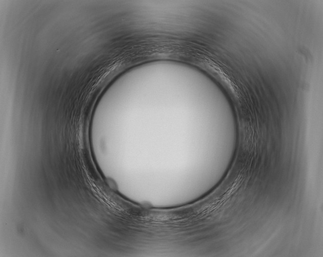 X0000112110482200908041154