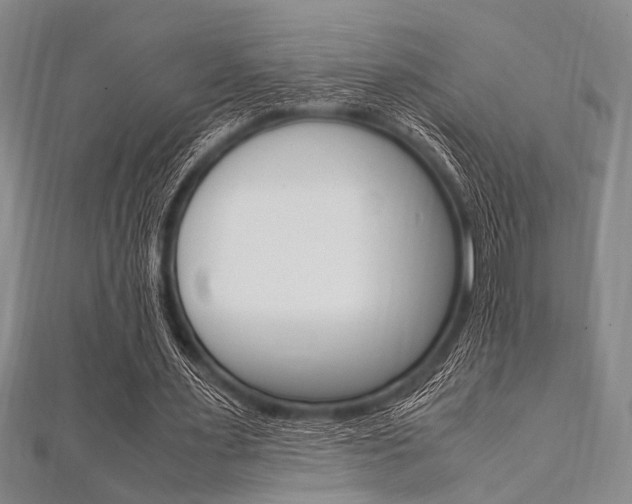 X0000112110483200908041154