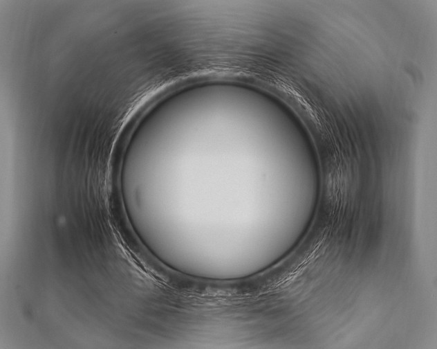 X0000112110484200908041154