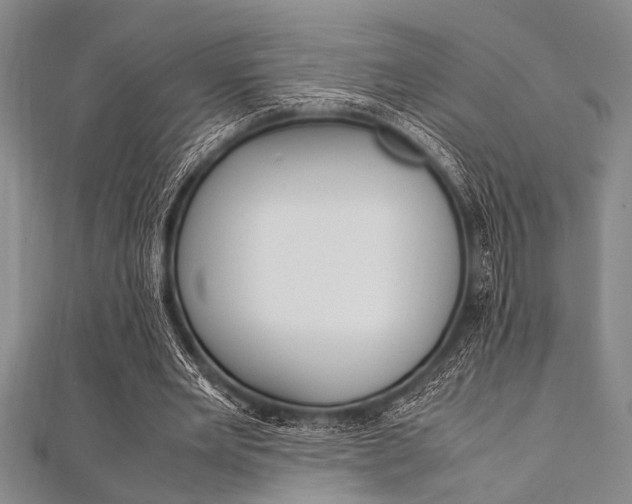 X0000112110485200908041154