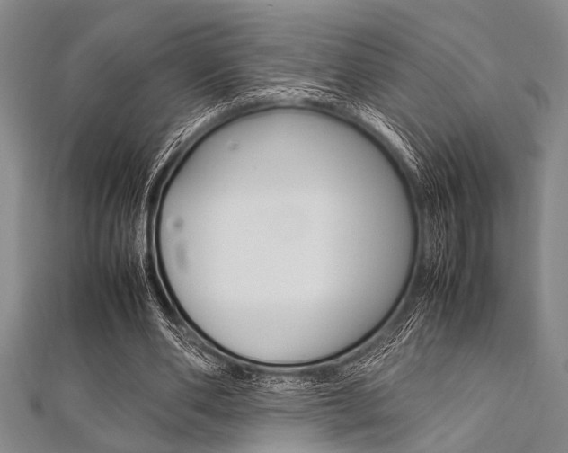 X0000112110486200908041154