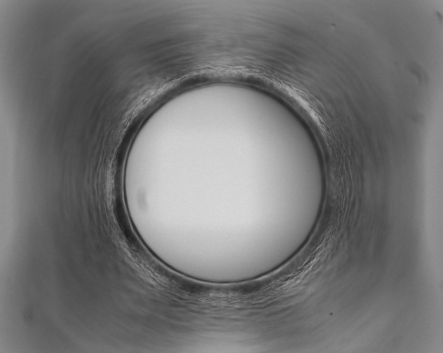 X0000112110487200908041154