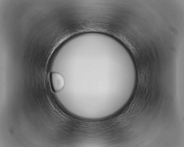 X0000112110488200908041154