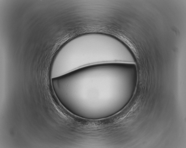 X0000112110489200908041154