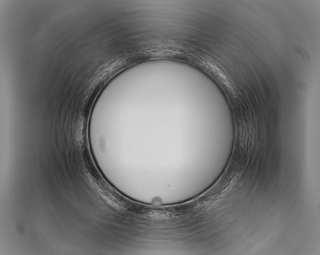 X0000112110490200908041154