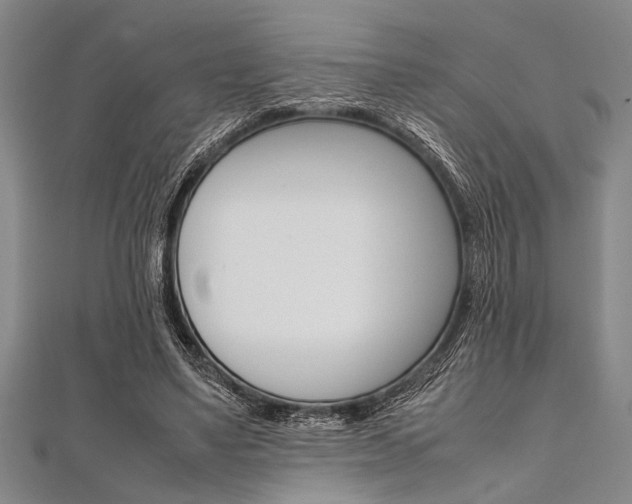 X0000112110491200908041154