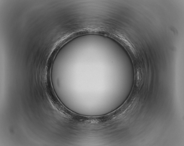 X0000112110492200908041154