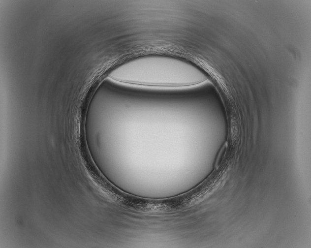 X0000112110493200908041154