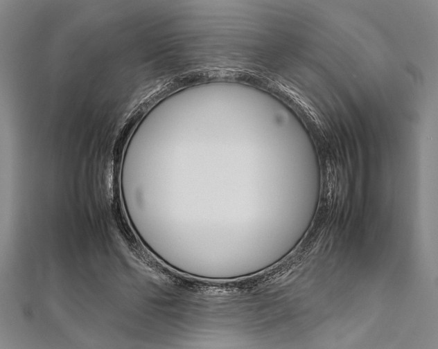 X0000112110494200908041154