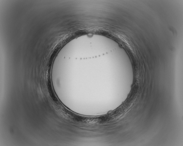 X0000112110495200908041154