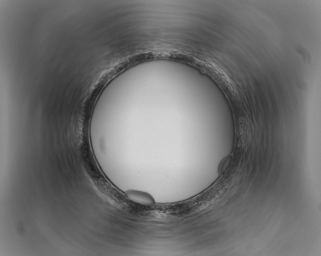 X0000112110496200908041154