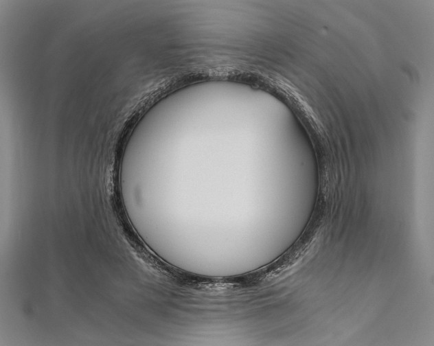 X0000112110497200908041154