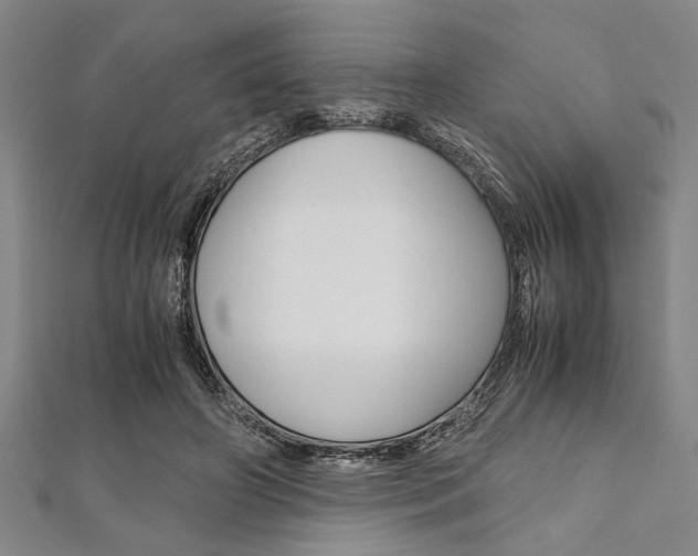X0000112110498200908041154