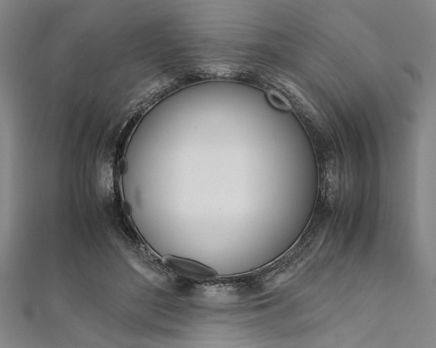 X0000112110500200908041154