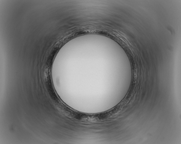 X0000112110503200908041154