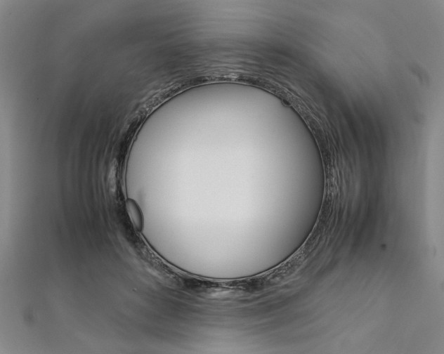 X0000112110504200908041154