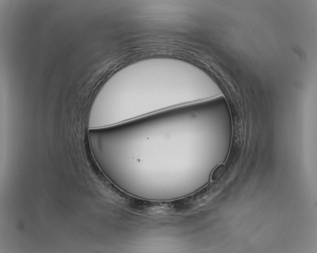 X0000112110505200908041154
