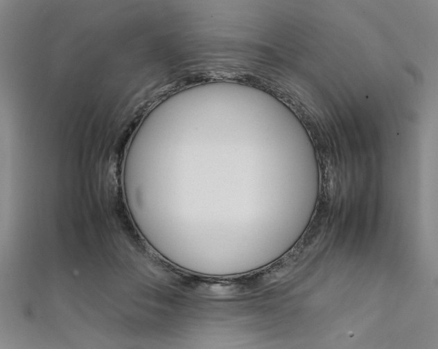 X0000112110506200908041154