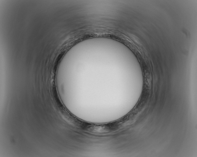 X0000112110507200908041154