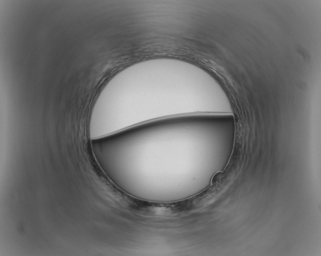X0000112110509200908041154