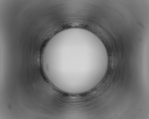 X0000112110510200908041154