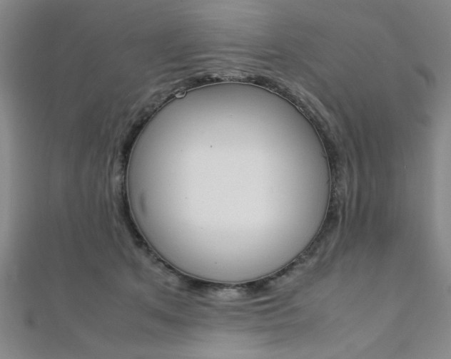 X0000112110513200908041154