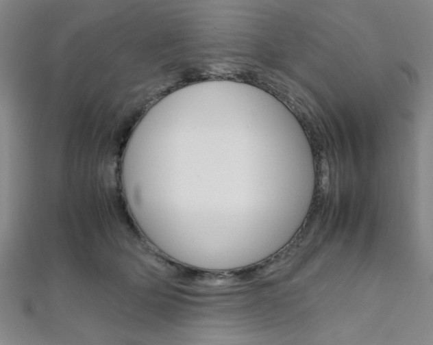 X0000112110514200908041154