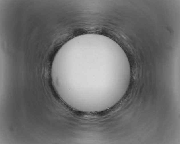 X0000112110515200908041154