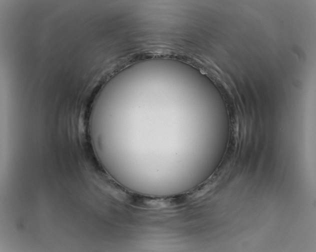 X0000112110516200908041154