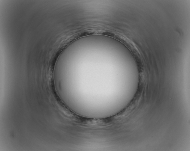 X0000112110517200908041154
