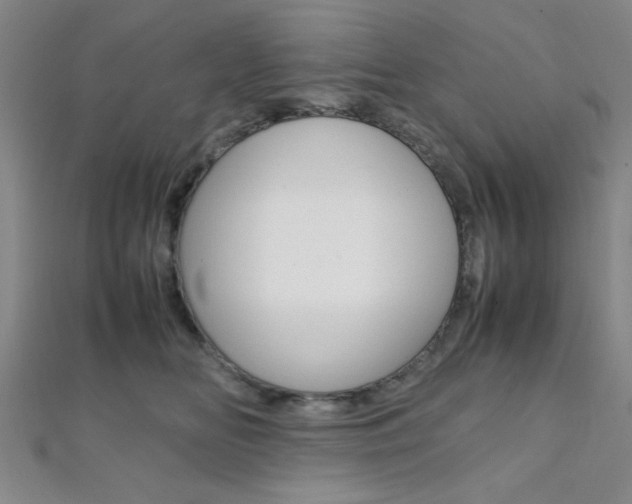 X0000112110518200908041154