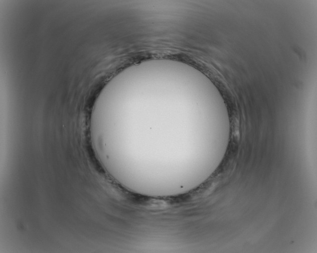 X0000112110519200908041154