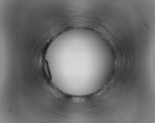 X0000112110520200908041154