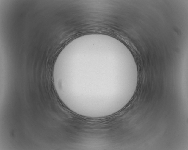 X0000112110521200908041154