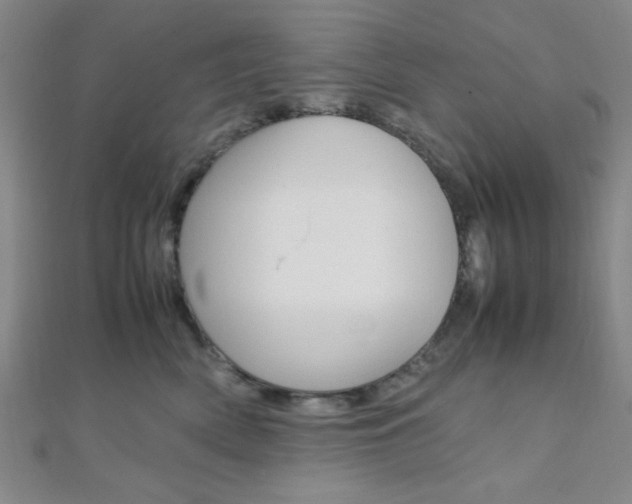 X0000112110522200908041154