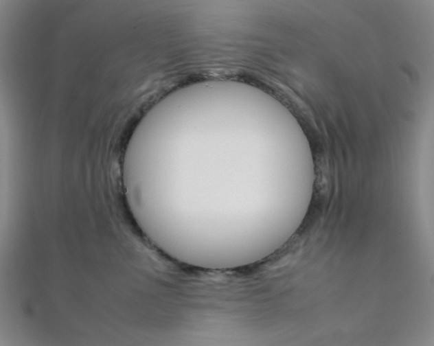 X0000112110523200908041154