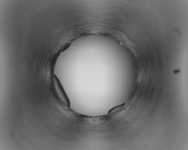 X0000112110524200908041154
