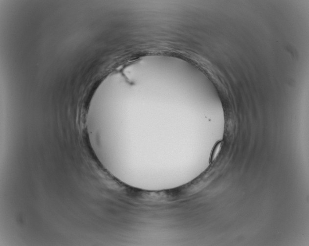 X0000112110525200908041154