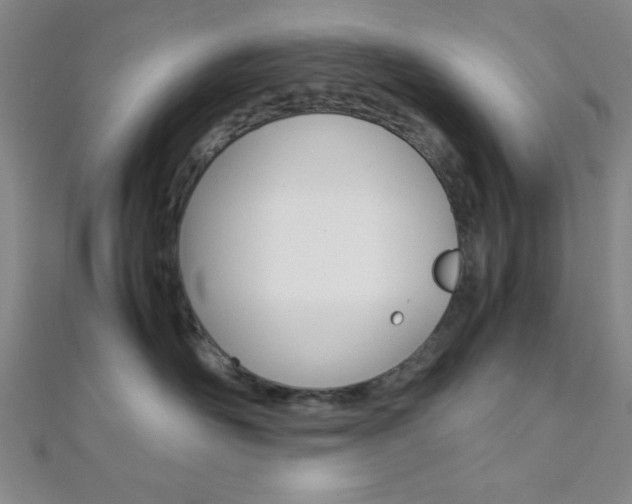 X0000112110526200908041154