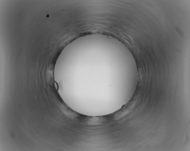 X0000112110527200908041154