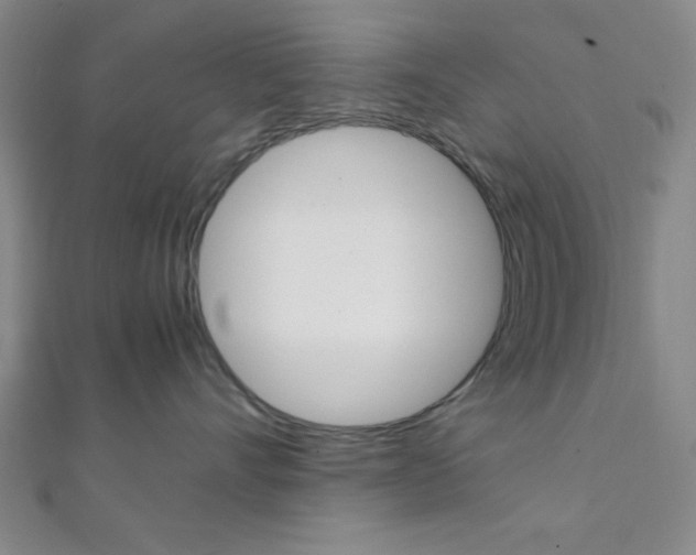X0000112110528200908041154
