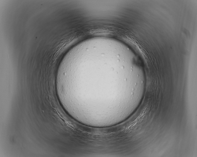 X0000112110529200908041153