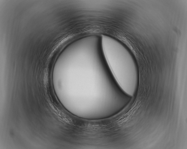 X0000112110531200908041153