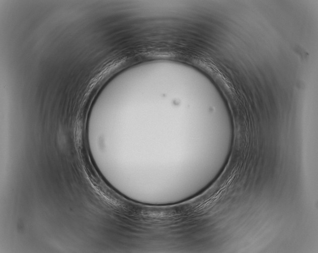 X0000112110533200908041153