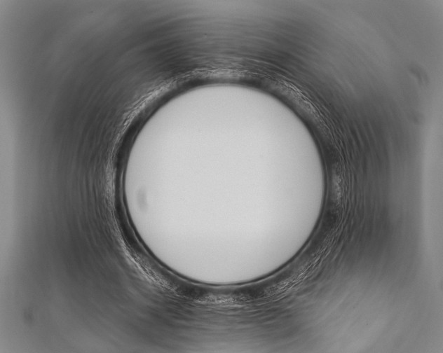 X0000112110534200908041153