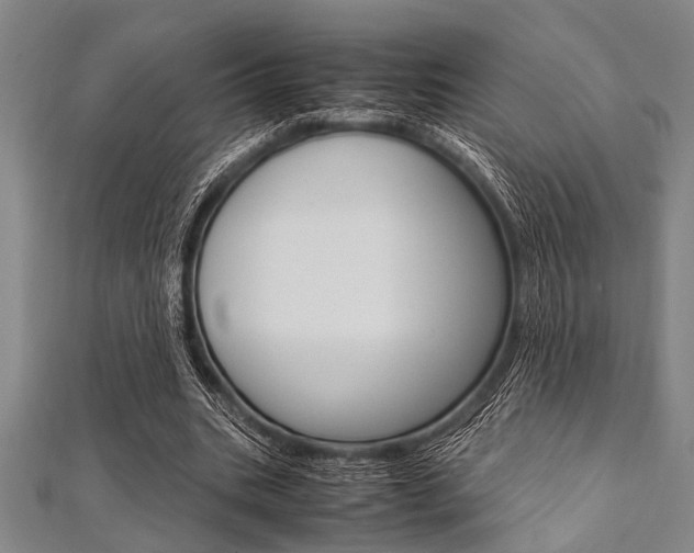 X0000112110535200908041153
