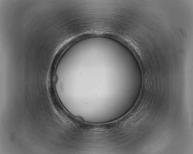 X0000112110536200908041153